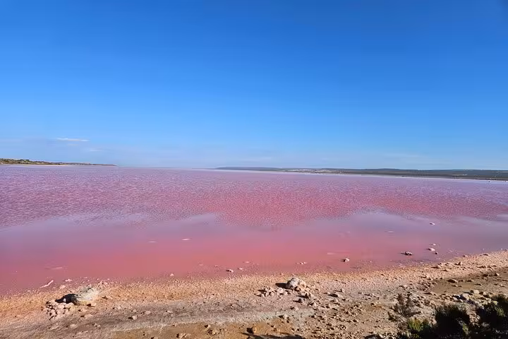 Expansive view of the vibrant Pink Lake under a clear blue sky, highlighting the natural beauty of the tour route.