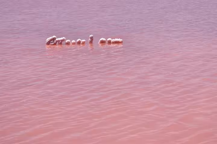 Marvel at the serene beauty of the Pink Lake's vibrant waters, a highlight of the unforgettable tour experience.