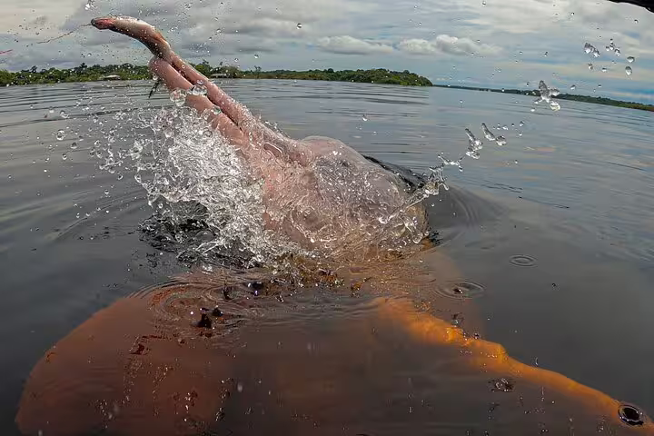 Pink river dolphin diving playfully in the Rio Negro during the Amazon Adventure Trip at Tapiri Rio Negro Lodge.