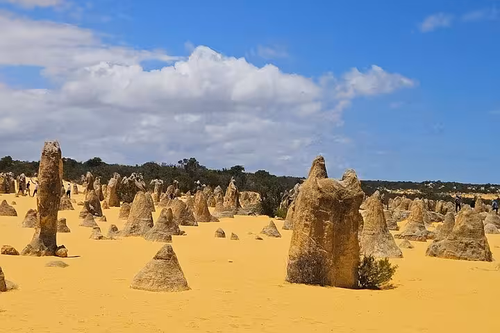 Explore the unique limestone formations of the Pinnacles Desert under a bright blue sky on this stunning tour.