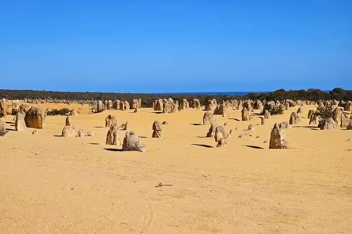 Vast landscape of limestone pillars in the Pinnacles Desert, offering a stunning view on the Pinnacle Day Adventure Tour.