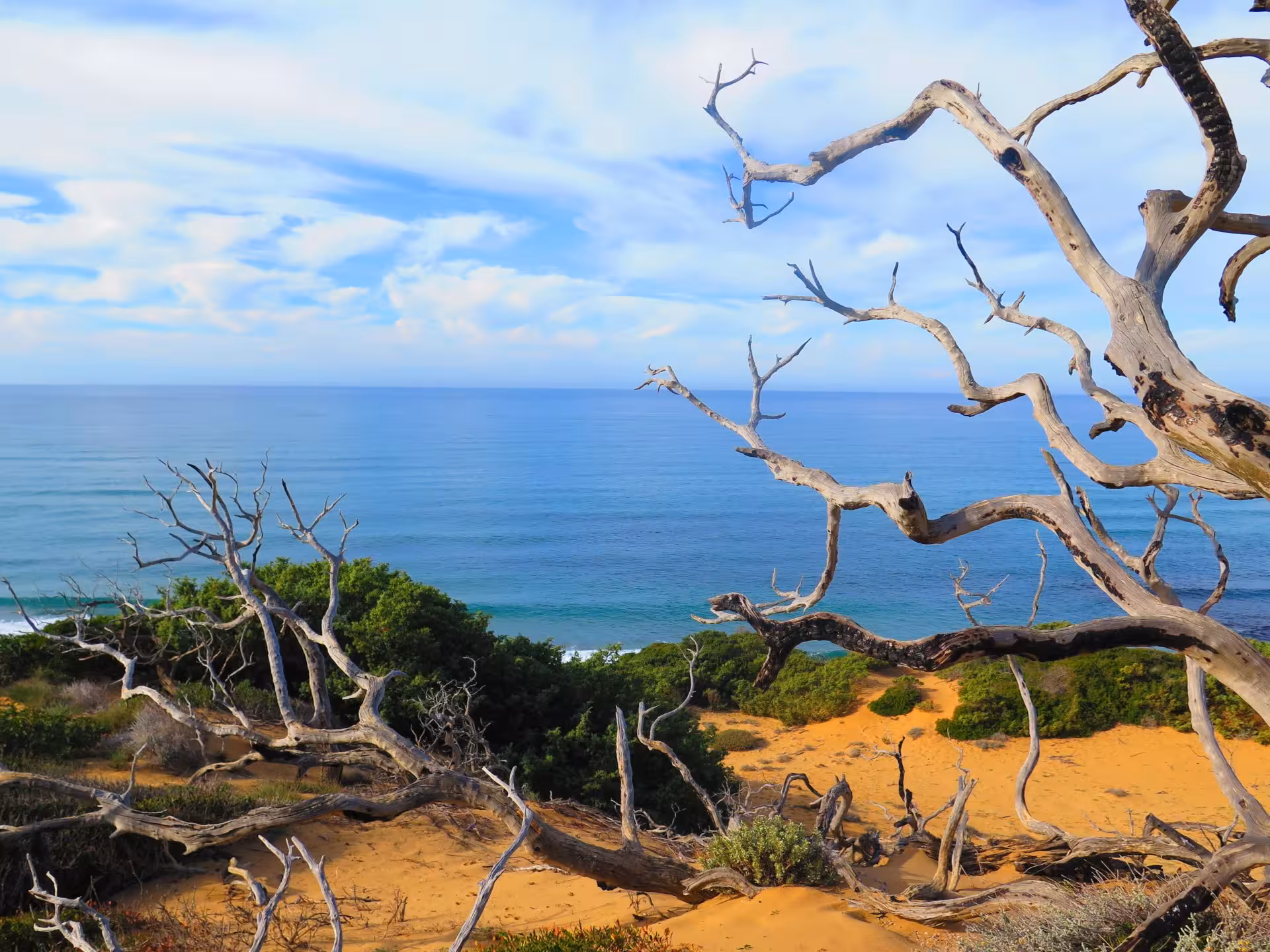 Scenic view of Piscinas dunes meeting the Mediterranean Sea, showcasing Sardinia's natural beauty on a guided tour.