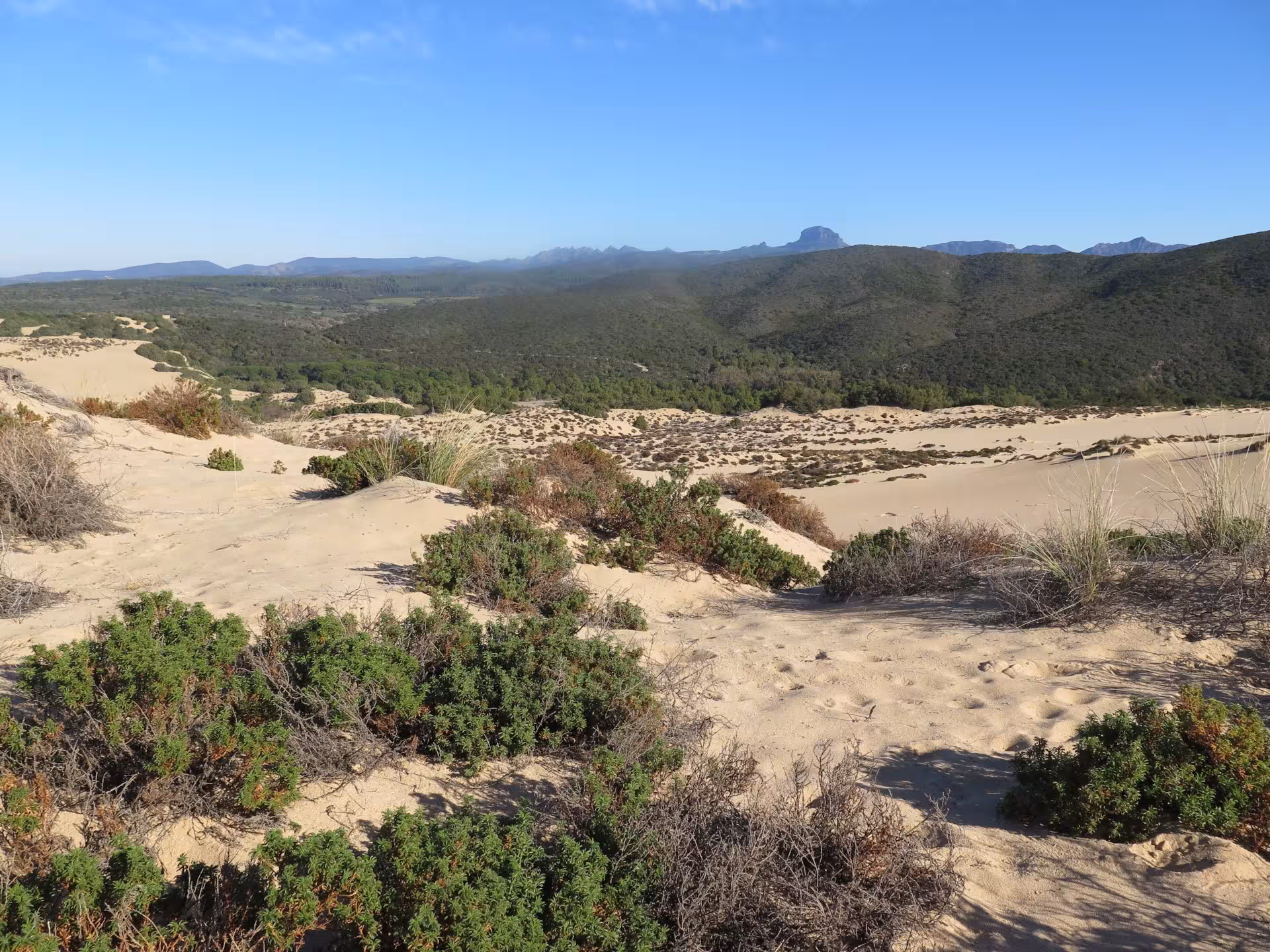 Expansive view of the serene sand dunes merging with green hills on a sunny day in Piscinas, Sardinia.