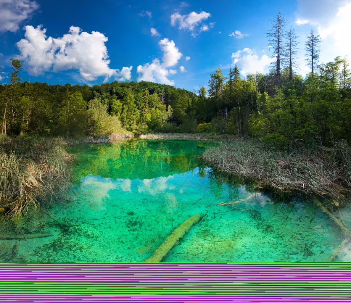Crystal-clear turquoise lake in Plitvice Lakes National Park, highlight of the 15-day Croatia self-drive tour