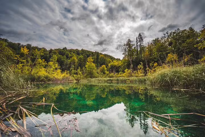 Emerald Plitvice lake reflecting forest and cloudy sky, scenic stop on scheduled economy tour Croatia