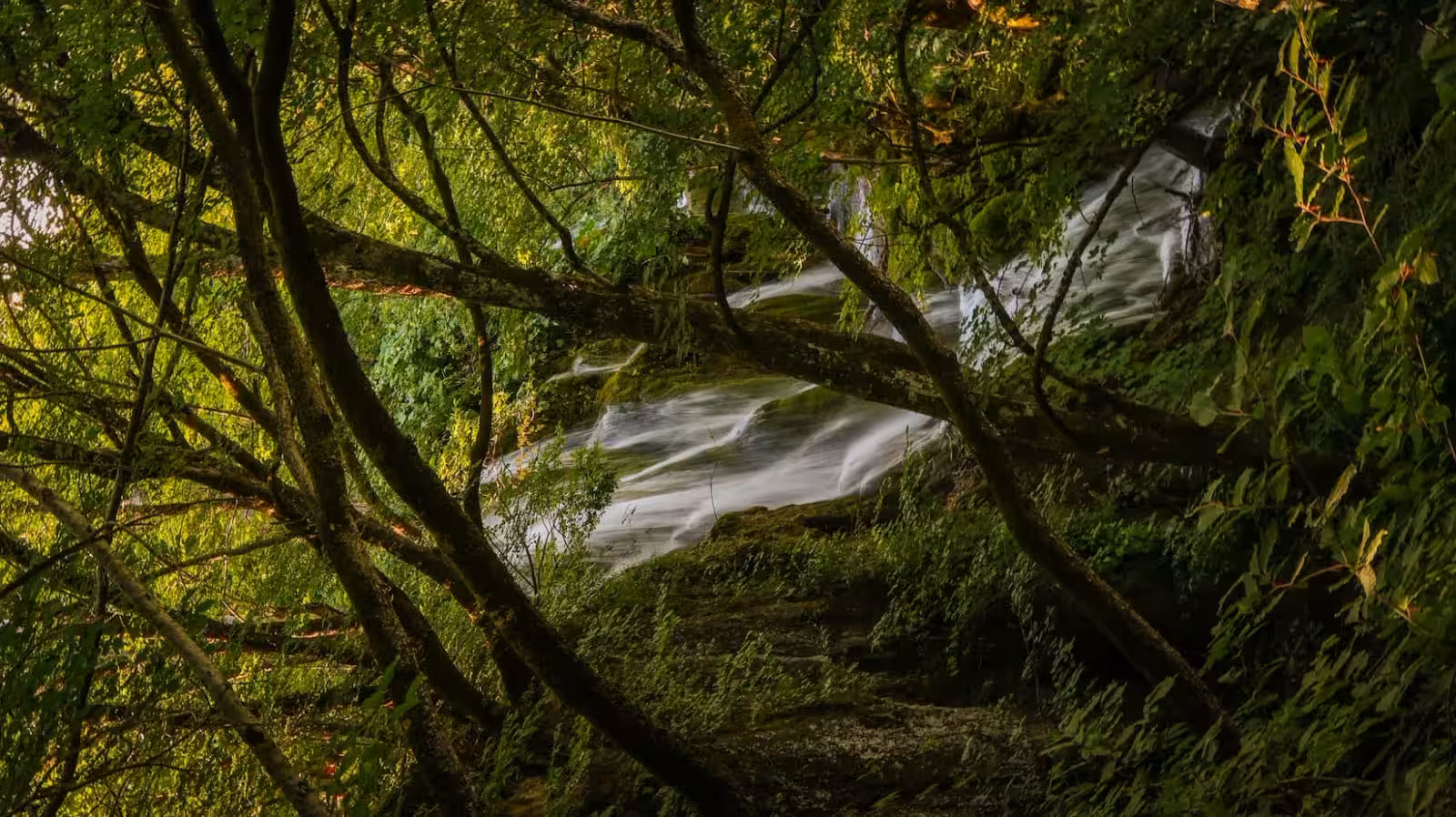 Hidden forest waterfall in Plitvice Lakes National Park, Croatia, scenic stop on guided group tour