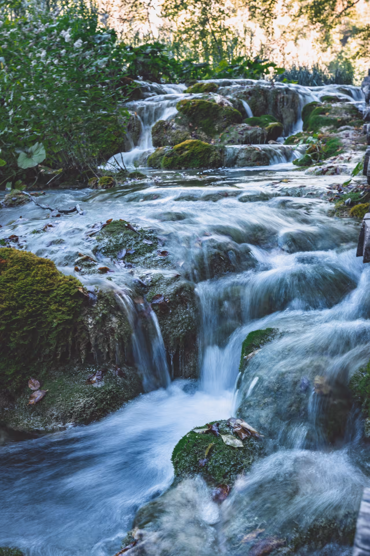 Mossy cascades and crystal stream in Plitvice Lakes, a hidden gems nature tour from Zagreb, Croatia