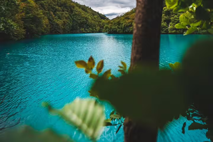 Turquoise lake at Plitvice Lakes National Park on a private tour, Croatia, framed by forest leaves
