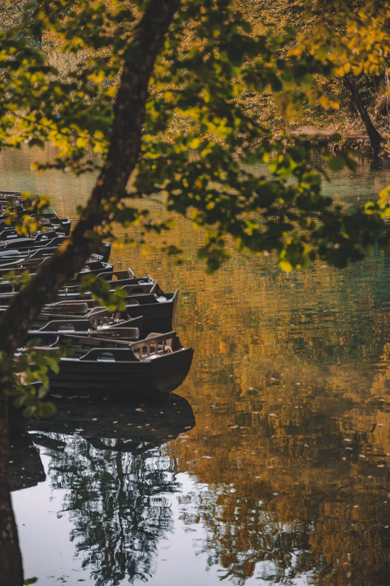 Rowboats on a calm Plitvice Lakes shoreline in autumn, hidden gems tour from Zagreb with scenic views