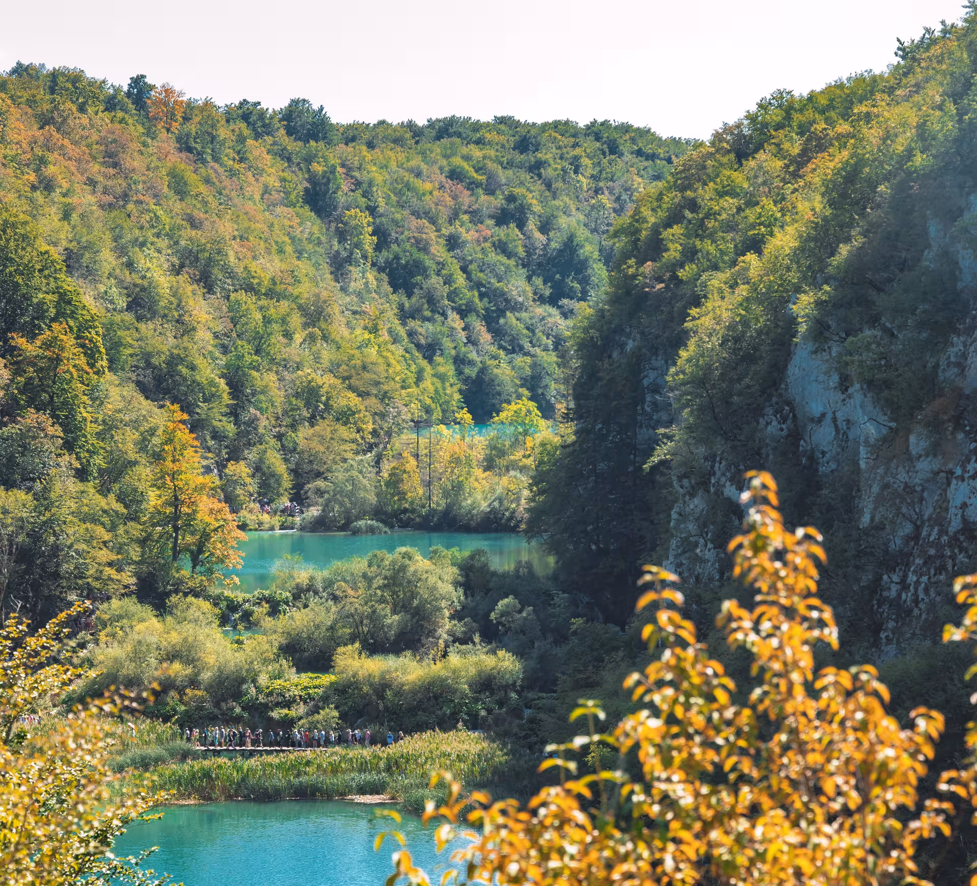 Panoramic view of turquoise Plitvice Lakes and forest valley on a guided day tour from Split, Croatia