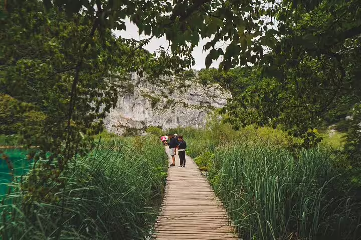 Wooden boardwalk through reeds at Plitvice Lakes National Park on a private guided tour in Croatia