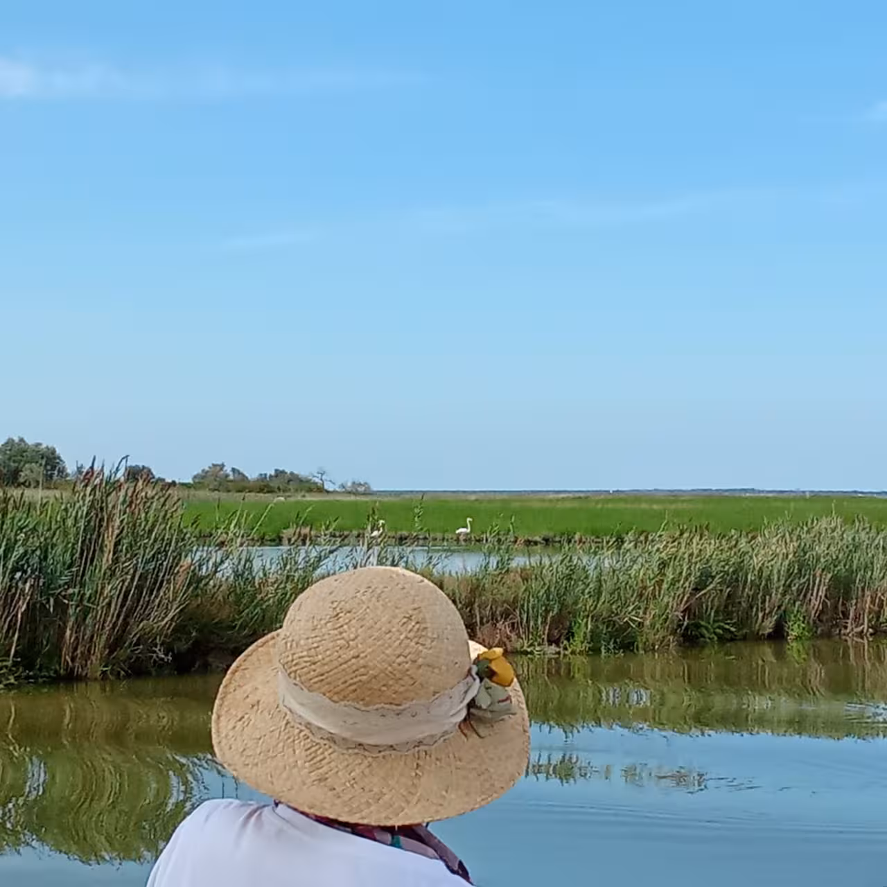 Guest in straw hat on Po Delta boat tour, cruising calm marsh canals toward Isola dell’Amore nature