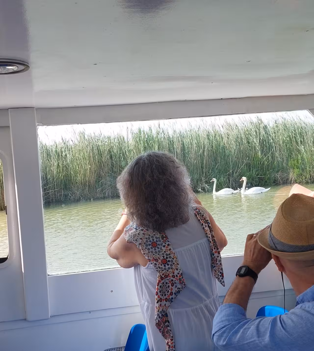 Guests spot swans from the boat on a Po Delta tour near Isola dell’Amore, cruising through reed-lined canals