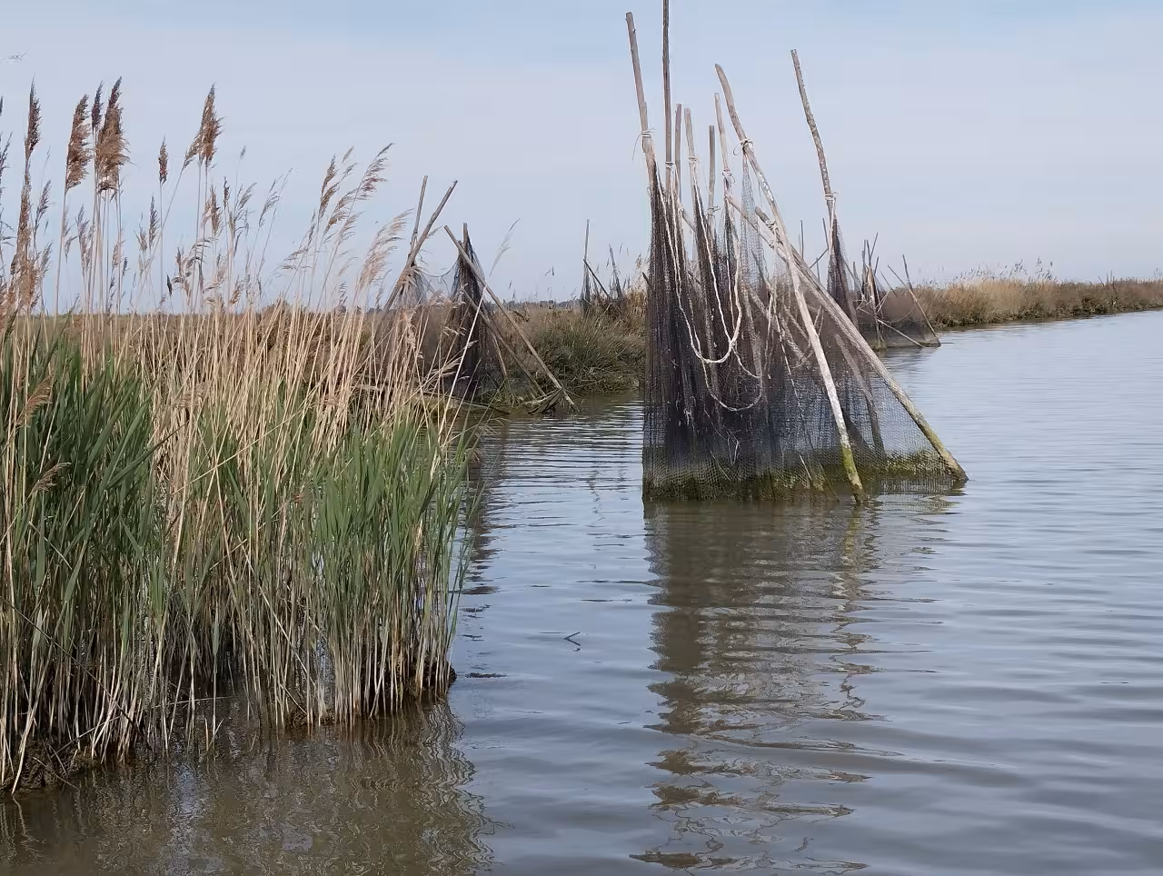 Traditional fishing nets and reeds in Po Delta lagoon, scenic boat tour to Isola dell’Amore nature reserve