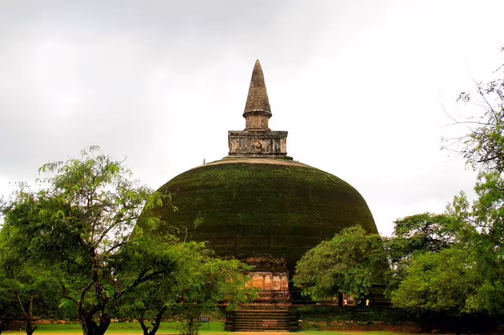 Moss-covered stupa surrounded by greenery in Polonnaruwa, showcasing Sri Lanka's rich historical landscapes.
