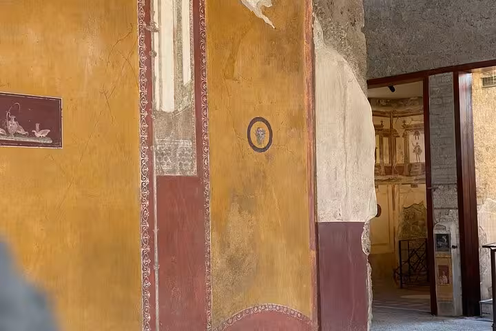 Experience vibrant wall frescoes in Pompeii's ancient ruins, part of the Amalfi Coast skip-the-line guided tour.