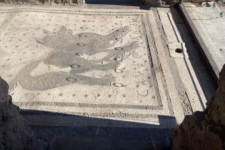 Ancient mosaic of a dog in Pompeii, showcasing detailed craftsmanship on a guided tour with skip-the-line entry.