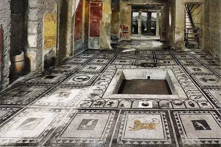 Intricate mosaic floor in a preserved room at Pompeii, showcasing ancient Roman art on a private guided tour.