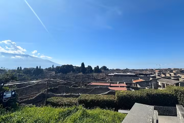 Panoramic view of the ancient ruins of Pompeii with lush greenery and a clear blue sky in the background.