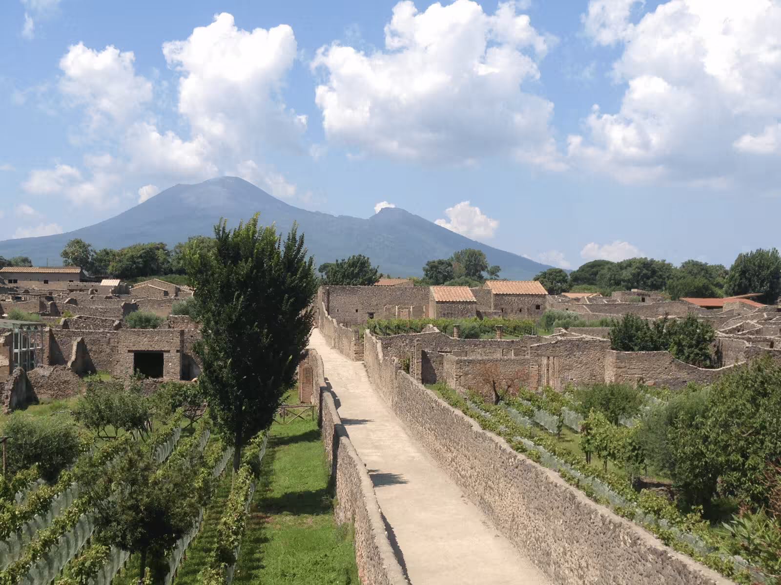 Pompeii excavations path with ancient walls and Mount Vesuvius view on guided group walking tour