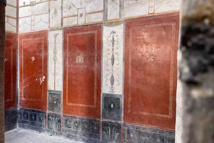 Preserved frescoes with detailed artistry in Pompeii highlight Roman culture on a private skip-the-line tour.