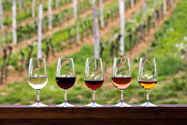 A selection of five wine glasses showcasing diverse types of wines with a lush vineyard backdrop on the Pompeii tour.