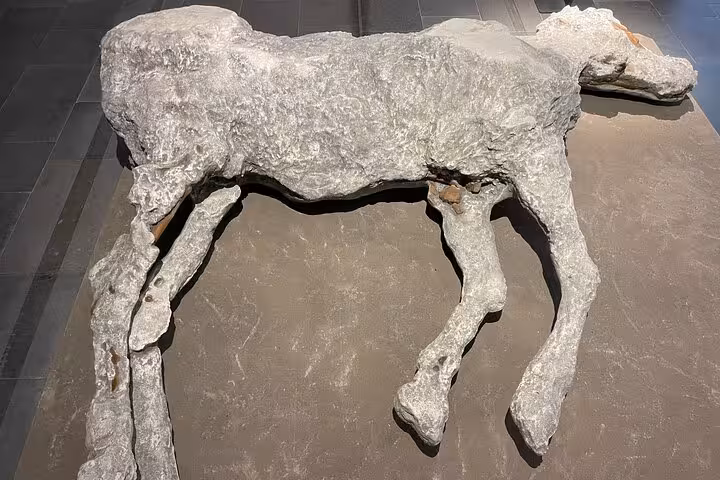 Discover the haunting cast of a horse from Pompeii, preserved in ash, at the archaeological site near Mount Vesuvius.