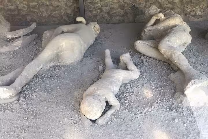 Preserved plaster casts of victims in Pompeii, capturing the tragic history on the Mount Vesuvius tour.