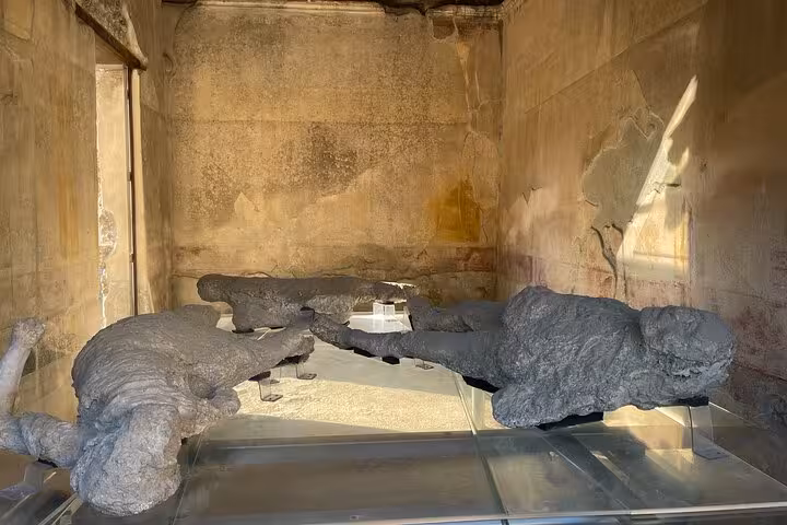 Preserved casts of Pompeii residents, frozen in time, offering a glimpse into history on the Vesuvius tour.