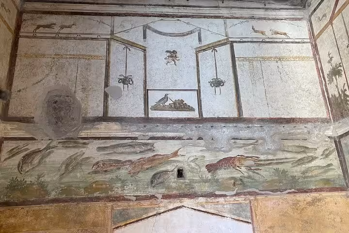 Ancient frescoes adorn the walls of a Pompeii villa, showcasing intricate Roman artistry on a Pompeii and Vesuvius tour.