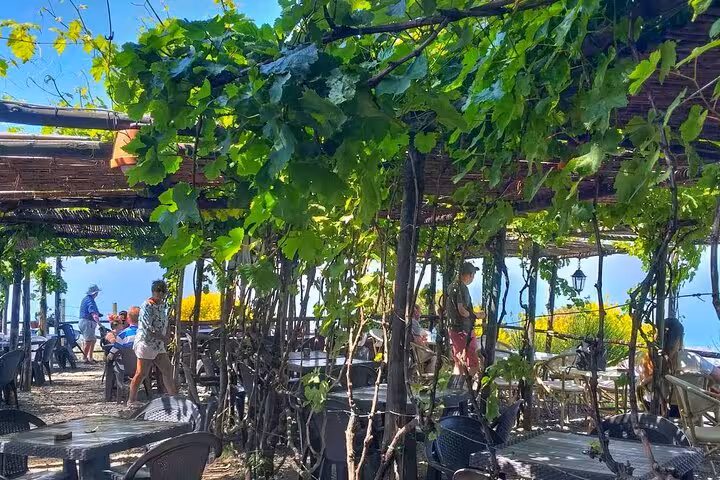 Charming outdoor dining area with vine-covered pergola on Pompeii and Vesuvius tour, perfect for a relaxing lunch.