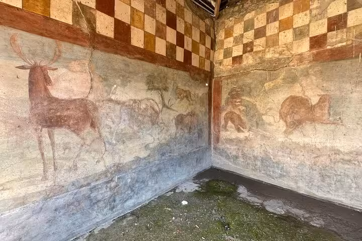 Discover wildlife frescoes in Pompeii with a Skip-the-Line Entry Small Group Guided Tour, highlighting Roman artistry.