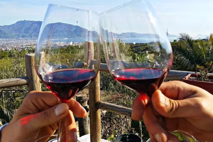Two glasses of red wine clinking with Vesuvius view, Pompeii and wine tasting group tour from Naples