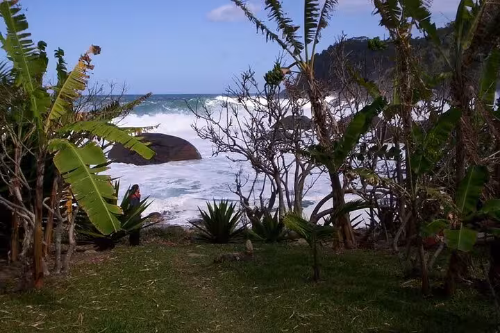 Lush coastal view of Ponta Negra with tropical plants framing the ocean and rocky shoreline under a clear blue sky.