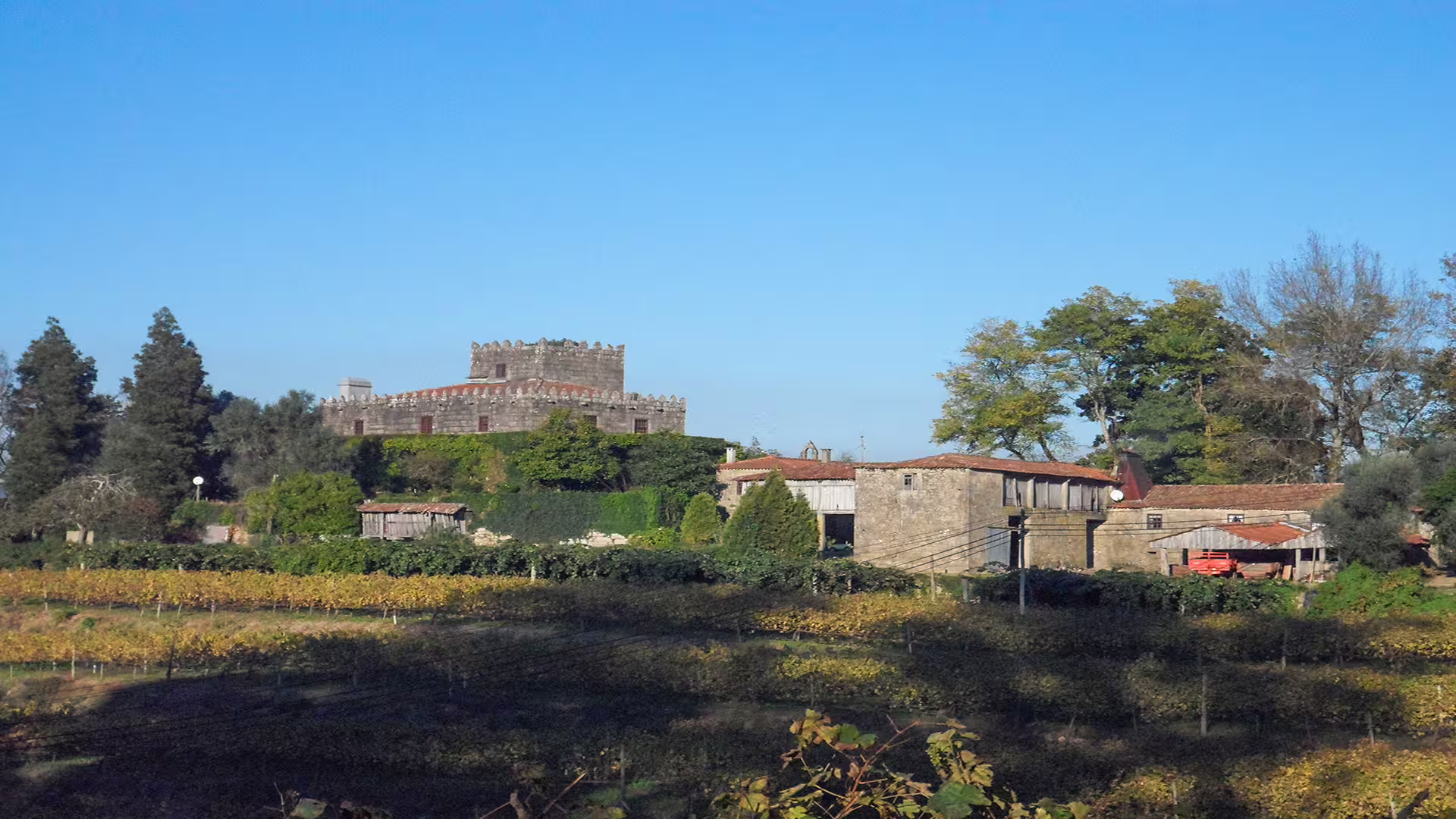 Scenic view of Ponte de Lima castle and lush vineyards in the Vinho Verde region, perfect for a private tour experience.