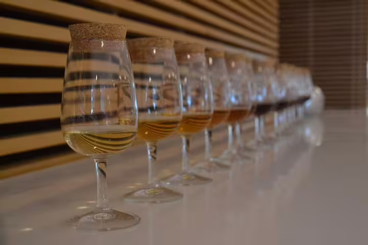 Row of corked wine glasses showcasing various Port and Douro wines ready for tasting on a sleek countertop.