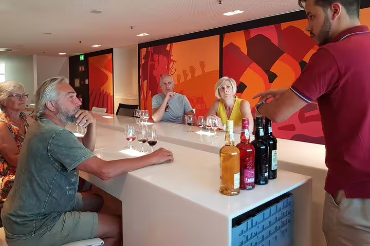 Guide presenting a selection of Port and Douro wines to attentive guests during a tasting tour session.