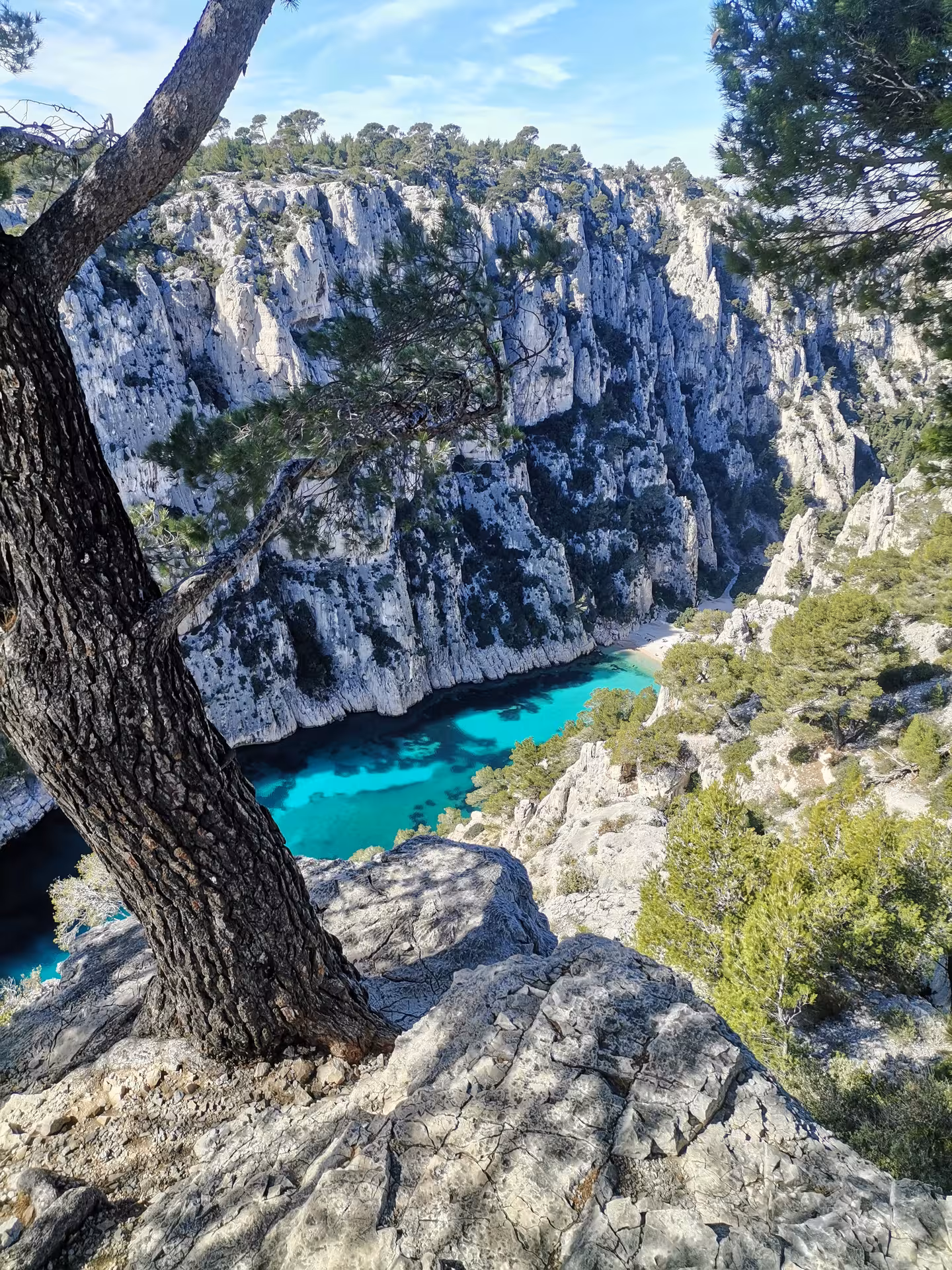 Turquoise Port-Pin Calanque view from cliff trail in Calanques National Park, En-Vau hiking tour near Cassis