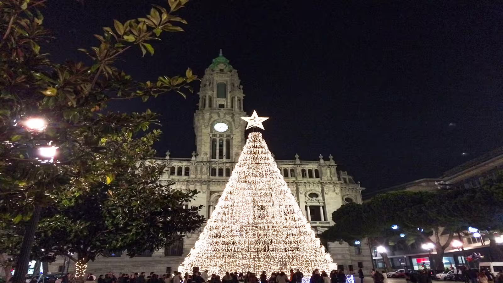 Illuminated Christmas tree in front of Porto City Hall at night, showcasing festive lights on a private night tour in Porto.