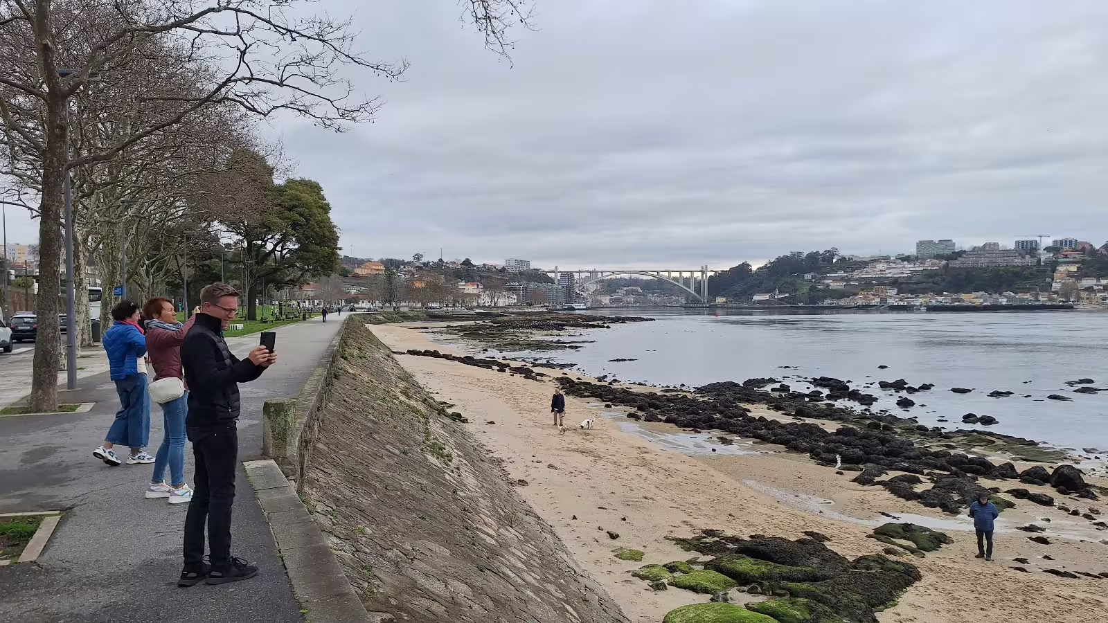 People enjoying a scenic view of Porto's Douro River and Arrábida Bridge during a guided afternoon tour.