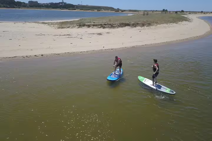 Two people paddleboarding near a sandy shoreline under a clear blue sky, enjoying a scenic water experience.