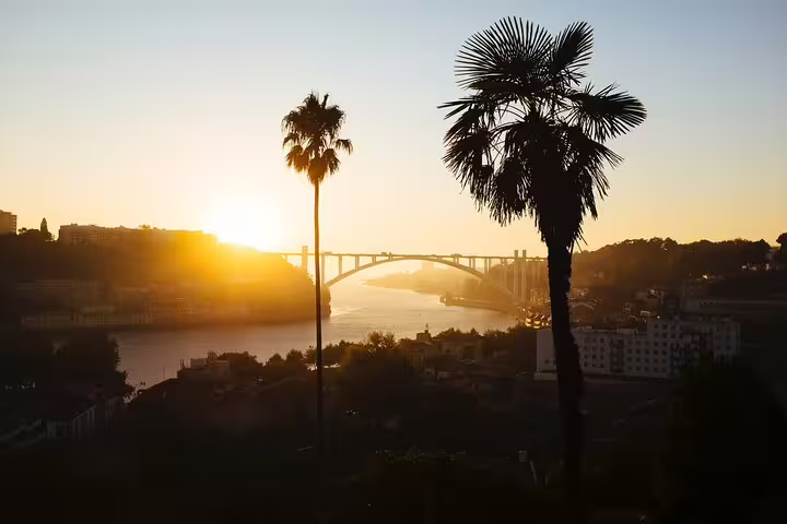 Scenic view of Porto's Douro River at sunset with Arrábida Bridge and palm trees, ideal for a private TukTuk tour experience.
