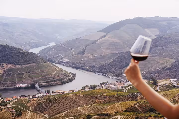 Hand holding a glass of red wine overlooking terraced Douro Valley vineyards and river, Porto tour through two wine regions.