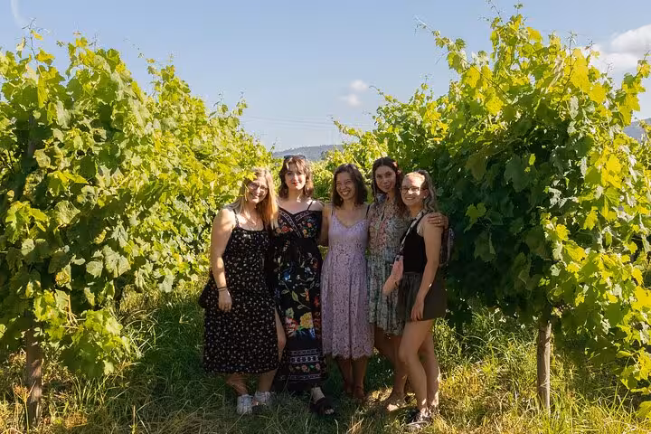 Friends stand among sunlit Douro Valley vineyards on a Porto day trip with sommelier-led tastings across two wine regions.