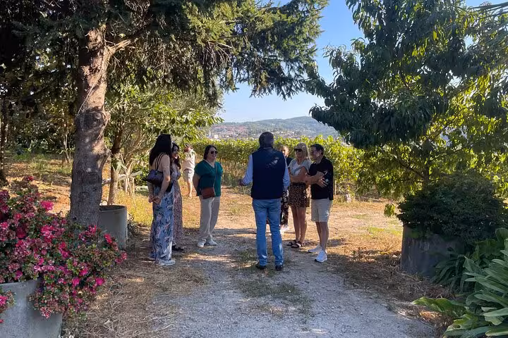 Guide leads a small group through Douro Valley vineyards, sharing terroir insights on a Porto day tour across two wine regions.