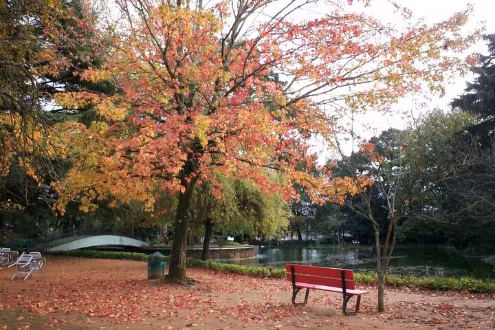 Scenic park with vibrant autumn trees and a red bench, featured on the Porto historic center e-bike tour.