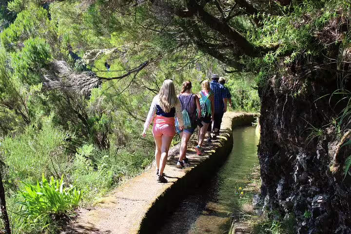 Tourists enjoy a scenic hike along a lush levada trail in Porto Moniz, Madeira, experiencing local nature and culture.