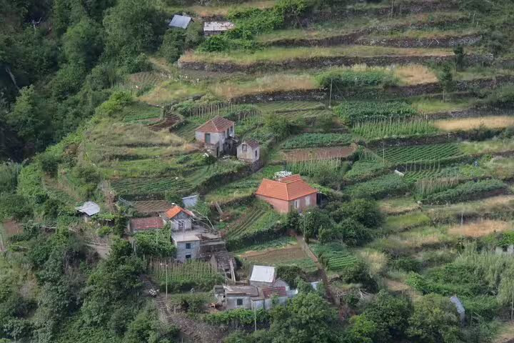 Terraced fields and rustic houses in lush green hills of Porto Moniz, perfect for a full-day immersive local tour experience.