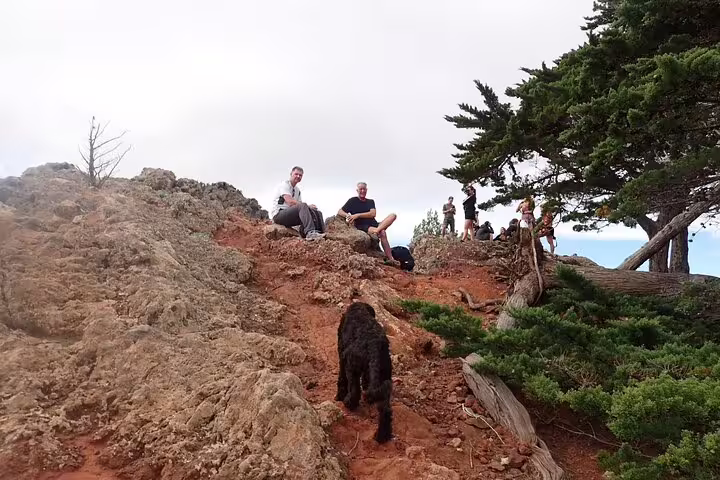 Hikers and a dog rest on rocky terrain surrounded by lush greenery during the Pico Branco & Terra Chã hiking tour.