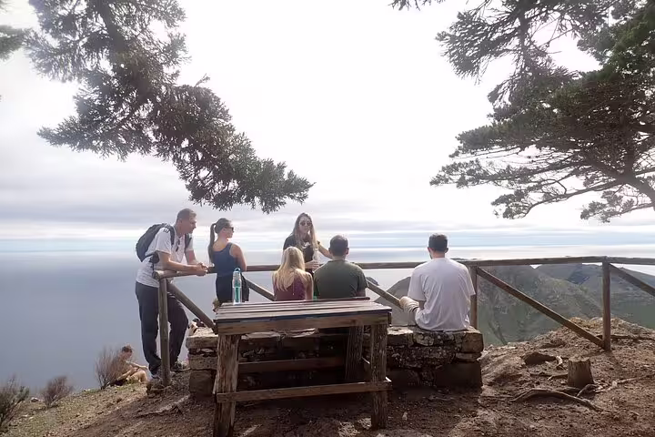 Group enjoying scenic ocean views on Pico Branco & Terra Chã hiking tour, Madeira, surrounded by lush greenery and cliffs.